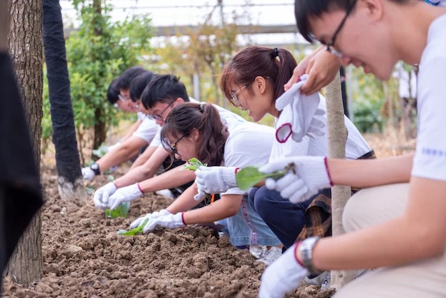 1632795166626762.jpg 13441632795150_.pic_hd.jpg